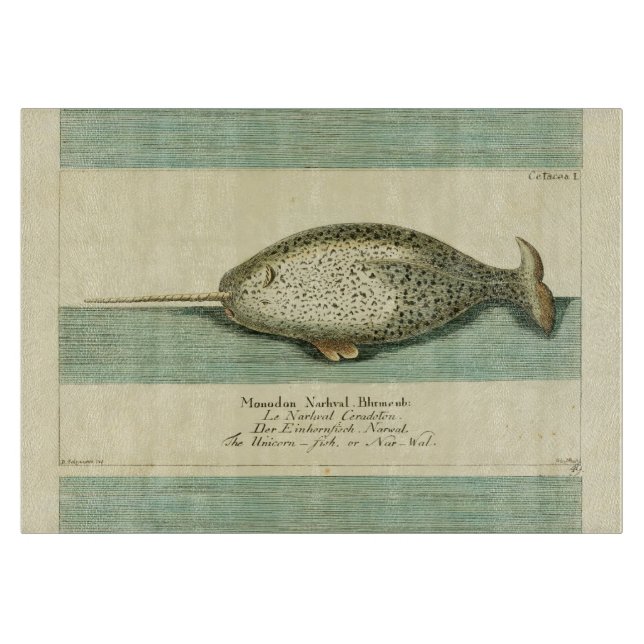 Planche À Découper Narwhal Antique Baleine Aquarelle Art scientifique (Devant)