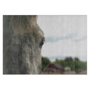 Planche À Découper Oeil D'Un Cheval Gris Dappé Animal