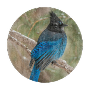 Planche À Découper Oiseau du geai de Steller dans l'arbre