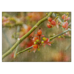 Planche À Découper Orange