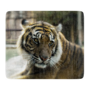 Planche À Découper Orange à rayures noires Bengale photo tigre
