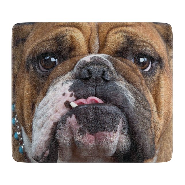 Planche À Découper Oreillers à lancer de Bulldog anglais (Devant)