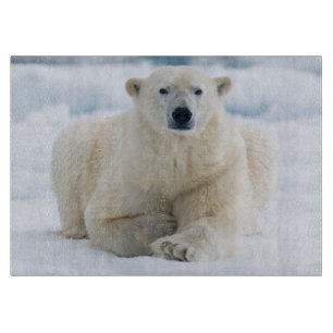 Planche À Découper Ours polaire adulte sur la banquise d'été