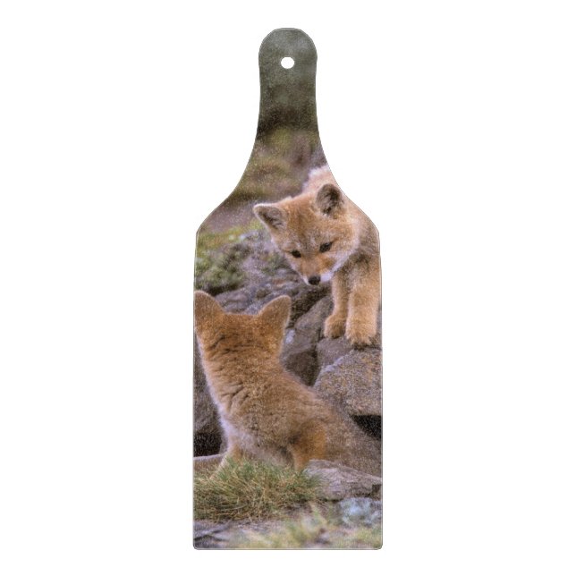 Planche À Découper paire de Fox gris sud-américain (Lycalopex griseus (Devant)