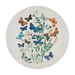 PLANCHE À DÉCOUPER PANNEAU DE CHOPPING EN VERRE : ANTIQUE IMPRIMER : 