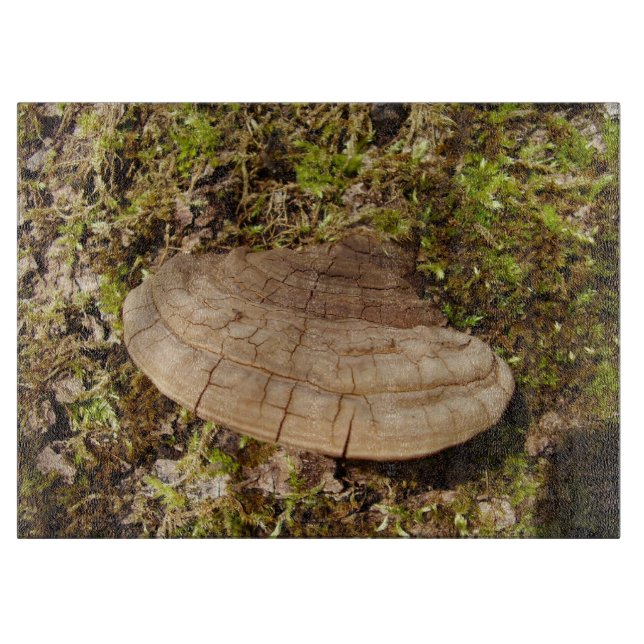 Planche À Découper Panneau de découpe en verre de champignon Phellinu (Devant)