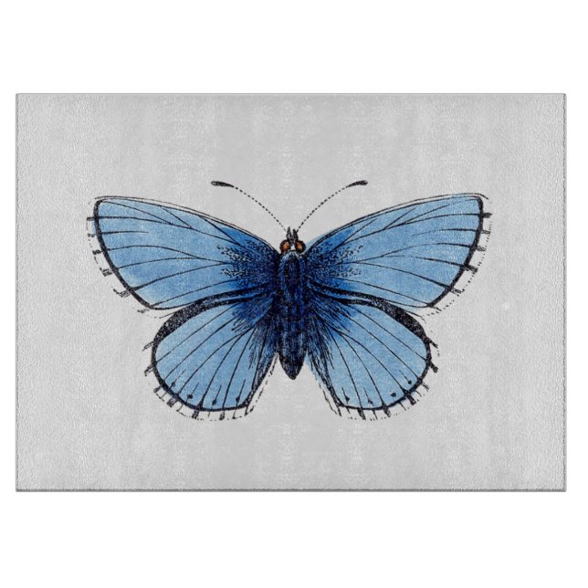 Planche À Découper Panneau de découpe en verre - Papillon bleu (Devant)