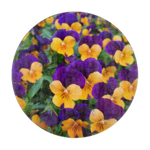Planche À Découper Pansy Bloom : Garden Beauty Gros plan.