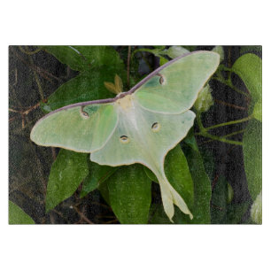 Planche À Découper Papillon luna sur clématite de Carnaby