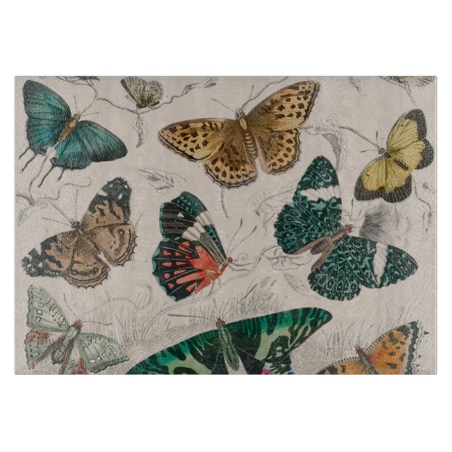 Planche À Découper Papillons Collection Antique Papillons (Devant)