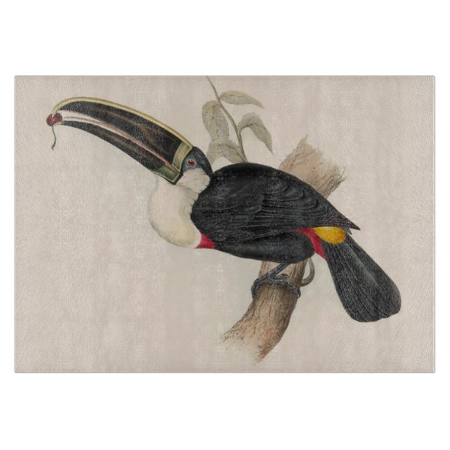 Planche À Découper Peinture animalière d'antiquités Toucans (Devant)