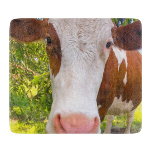 Planche À Découper Photo d'un animal de ferme de vache