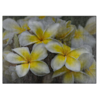 Photographie de Plumeria, Fleur Jaune