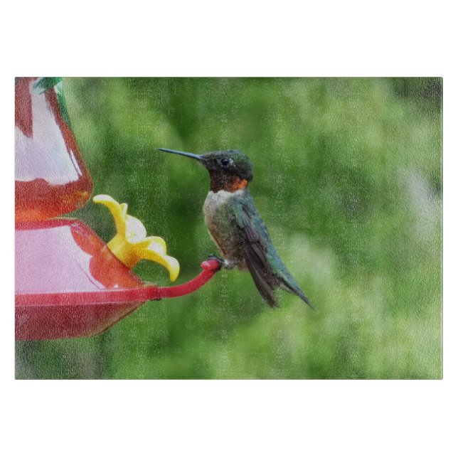 Planche À Découper Photographie d'oiseau de colibri à gorge rubis (Devant)