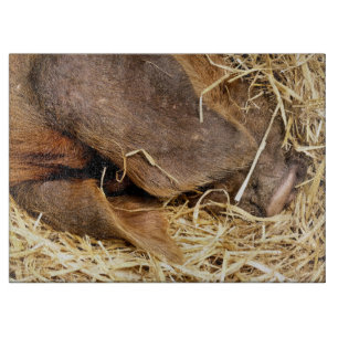 PLANCHE À DÉCOUPER PIÈCES