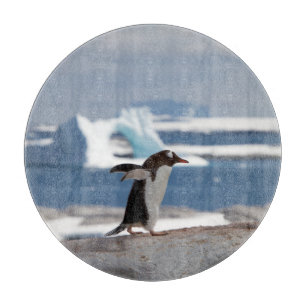 Planche À Découper Pingouin devant une arche de glace