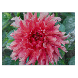 Planche À Découper Pink Dahlia Photographie, Fleur canadienne