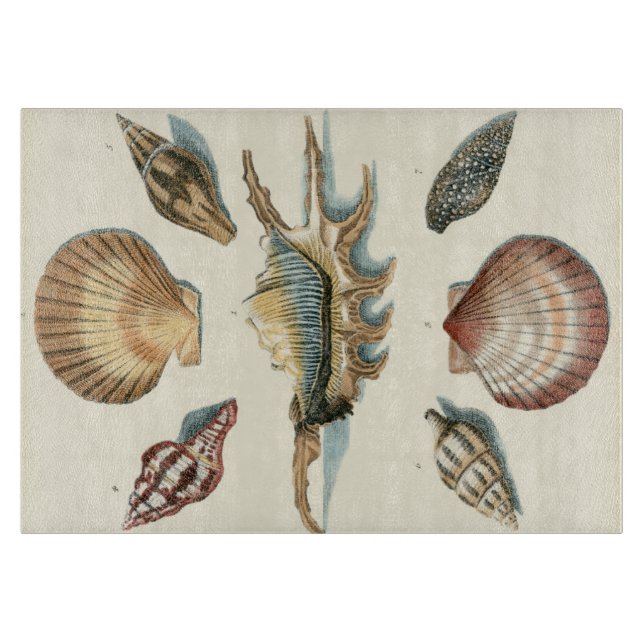 Planche À Découper Plage de Shell soignée (Devant)