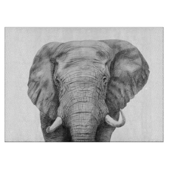 Planche À Découper Plan de sauvegarde IV (Devant)