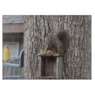 Planche À Découper Planche de coupe d'écureuil
