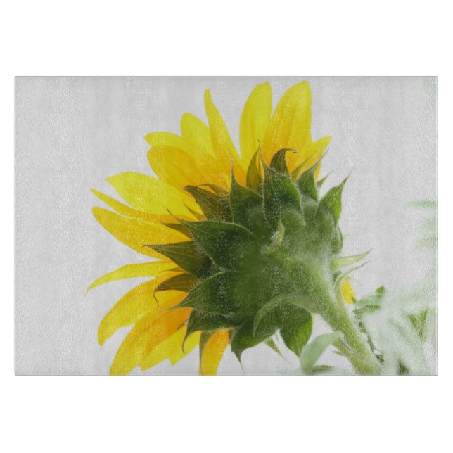 Planche À Découper Planche de coupe en verre Fuzz de tournesol (Devant)
