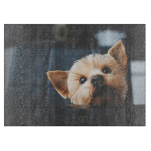 Planche À Découper Plat Yorkshire Terrier Chien Chien Chien Puppy