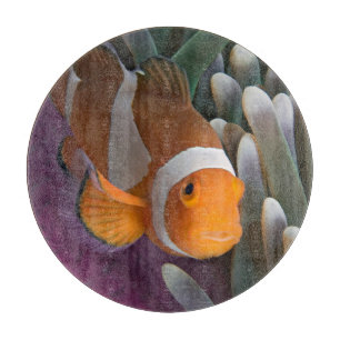Planche À Découper Poisson clown occidental