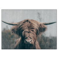 Portrait de vache Highland