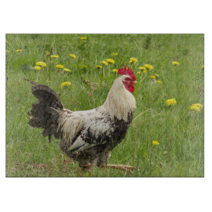 Planche À Découper poulet, coq, animal, oiseau, ferme, agriculture,