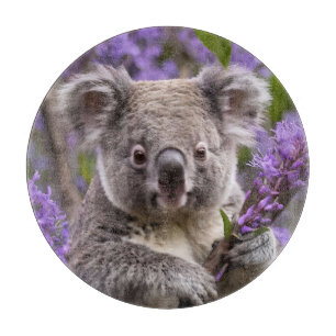 Planche À Découper Purple Jacaranda Koala Ours,