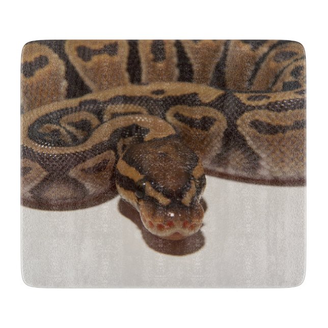 Planche À Découper Python de boule de fantôme (Devant)