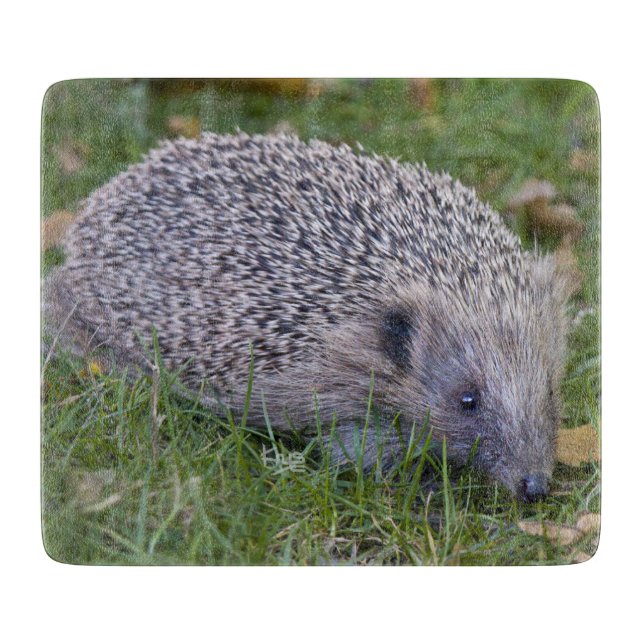 Planche à découper rectangulaire Spike (Devant)
