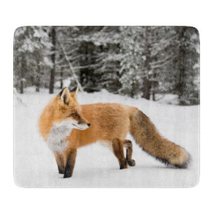 Planche À Découper Renard rouge de la neige blanche