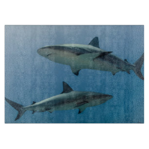 Planche À Découper Requin des Caraïbes de récif