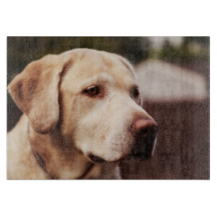 Planche À Découper Retriever du Labrador