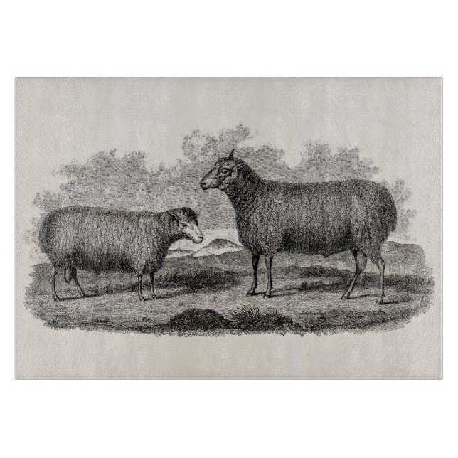 Planche À Découper Rétro ferme de 1800s de moutons d'illustration (Devant)
