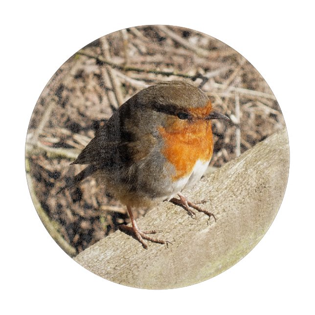 PLANCHE À DÉCOUPER ROBIN (Devant)