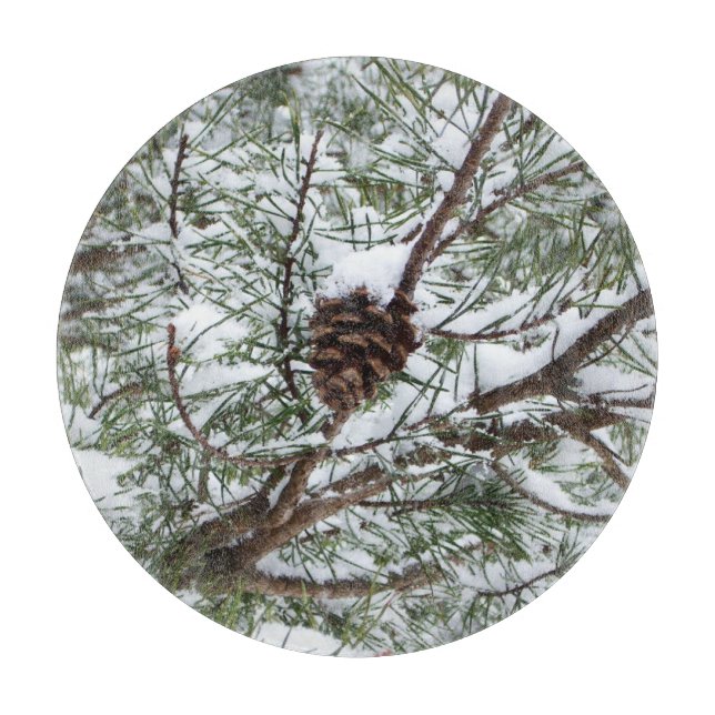 Planche À Découper Snowy Pine Cône II hiver Photographie de la nature (Devant)