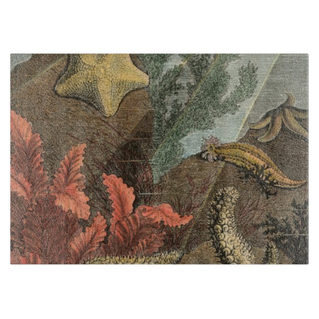 Planche À Découper Sous la mer (Devant)