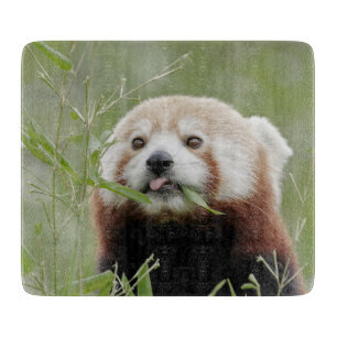 Planche À Découper Tableau de couture Photo panda rouge, animaux 0216