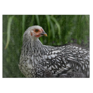 Planche À Découper Tableau de découpe du poulet