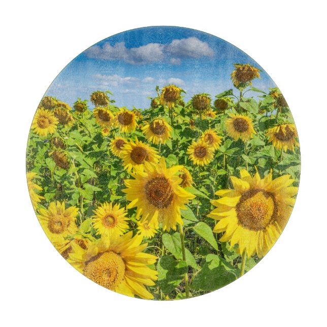 Planche À Découper Terrain de tournesol, ensoleillé l'été. (Devant)