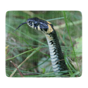 Planche À Découper Tête de serpent