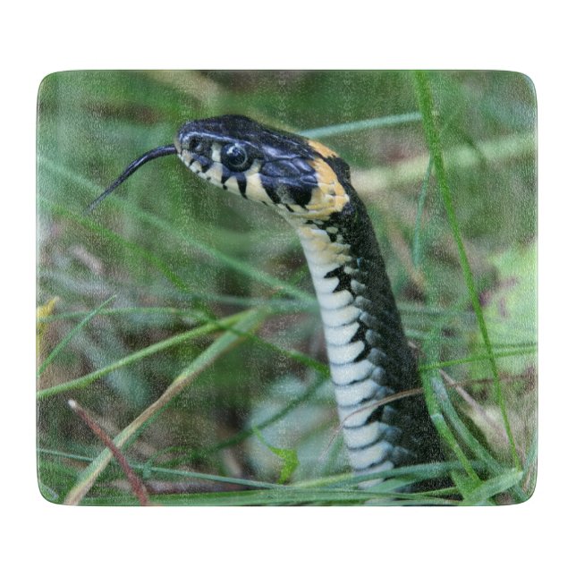 Planche À Découper Tête de serpent (Devant)