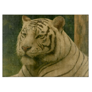 Planche À Découper Tigre blanc reposant dans l'ombre des bois