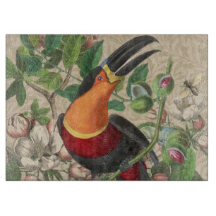 Planche À Découper Toucan Jungle Tropical Bird Belle antique