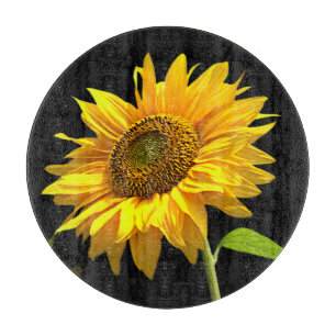 Planche À Découper Tournesol lumineux sur l'arrière - plan noir