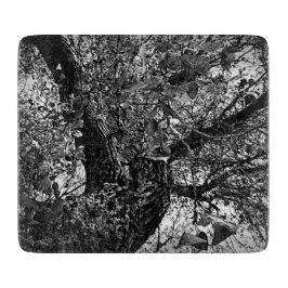 Planche À Découper Trouvez-moi dans les arbres