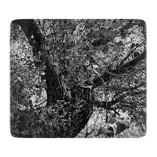 Planche À Découper Trouvez-moi dans les arbres (Devant)