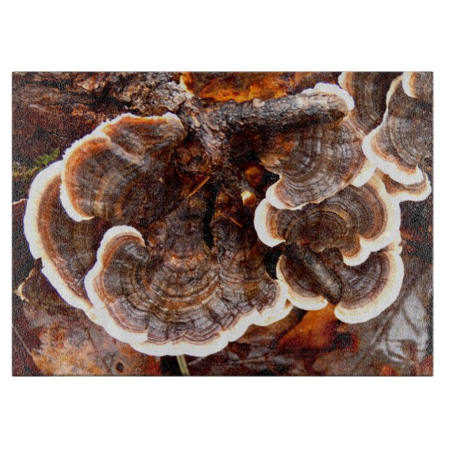 Planche À Découper Turquie Tails Fungi Planche de verre (Devant)